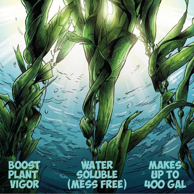 Growganica Kelp it Real OMRI Organic Soluble Seaweed 0-0-14 | Natural Plant Growth Stimulant & Fertilizer for Soil & Hydroponics