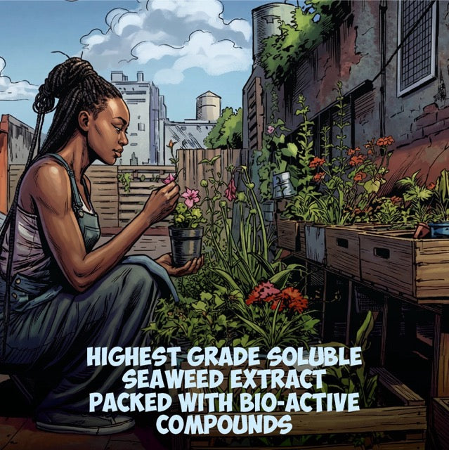 Growganica Kelp it Real OMRI Organic Soluble Seaweed 0-0-14 | Natural Plant Growth Stimulant & Fertilizer for Soil & Hydroponics