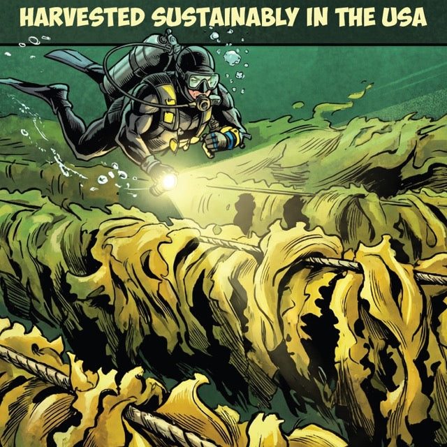 Growganica Kelp it Real OMRI Organic Soluble Seaweed 0-0-14 | Natural Plant Growth Stimulant & Fertilizer for Soil & Hydroponics