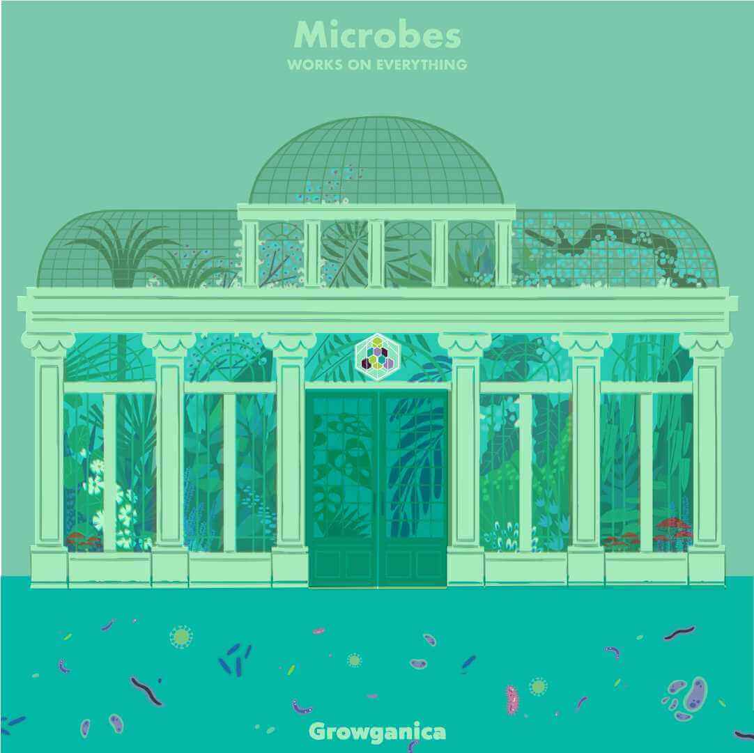Microbes Might Just Save the Planet - GROWGANICA