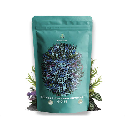 Kelp It Real organic seaweed extract bottle by Growganica
