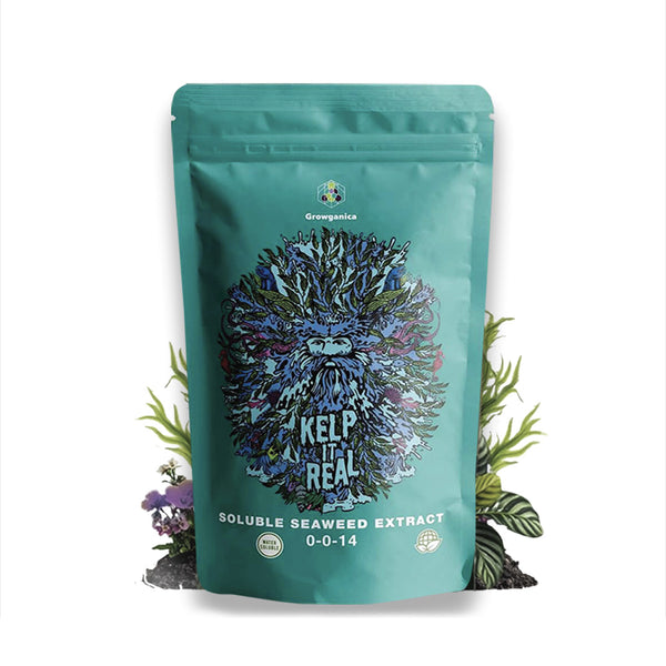 Kelp It Real organic seaweed extract bottle by Growganica