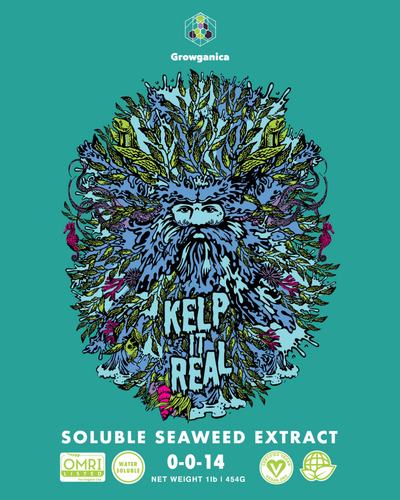 Kelp It Real – Organic Soluble Seaweed Extract (0-0-14)