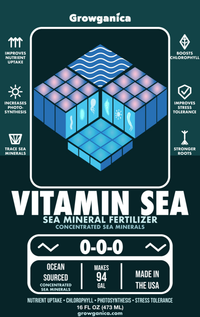 Vitamin Sea – Magnesium & Micronutrient Concentrate
