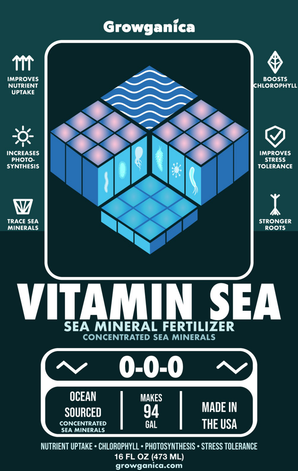 Vitamin Sea – Magnesium & Micronutrient Concentrate